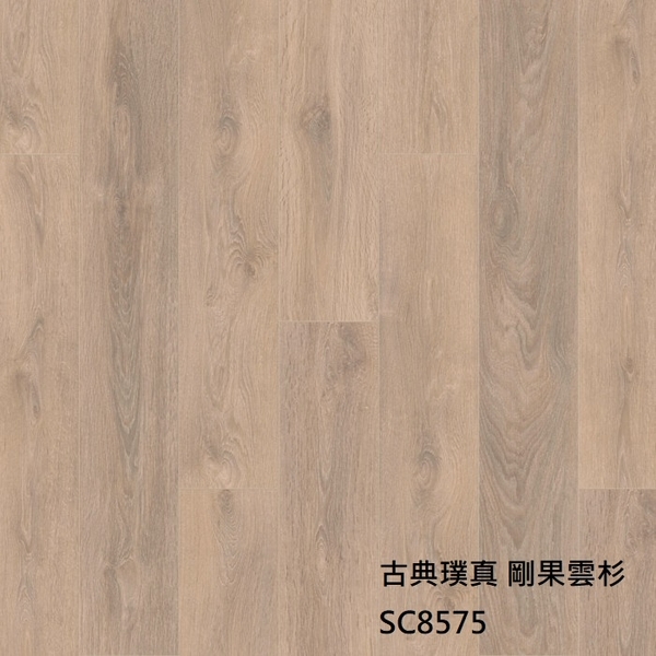 古典璞真8575剛果雲杉