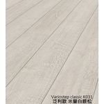 泛利歐K031米蘭白銀松