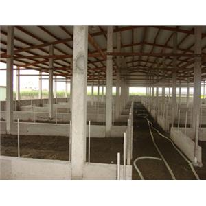 畜牧寮舍施工照-溫發水泥製品加工廠