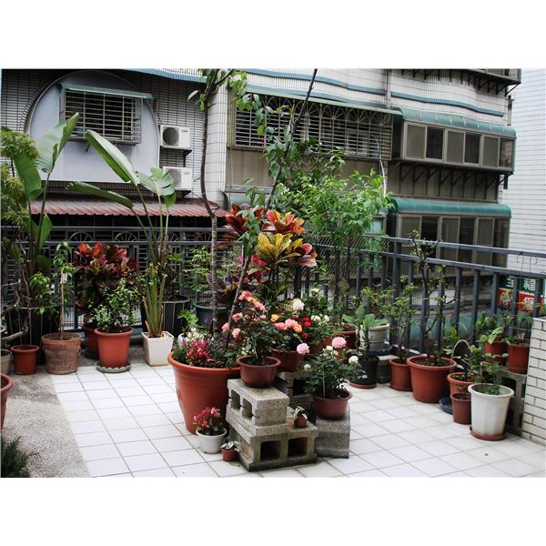 花園改造 花園改造