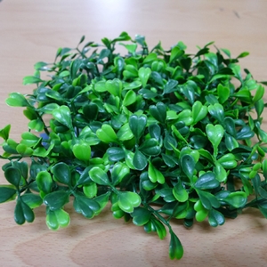 景觀草-同育展業有限公司