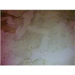 Epoxy-修繕-旭隆工程有限公司