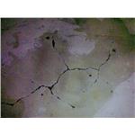 Epoxy-修繕-旭隆工程有限公司