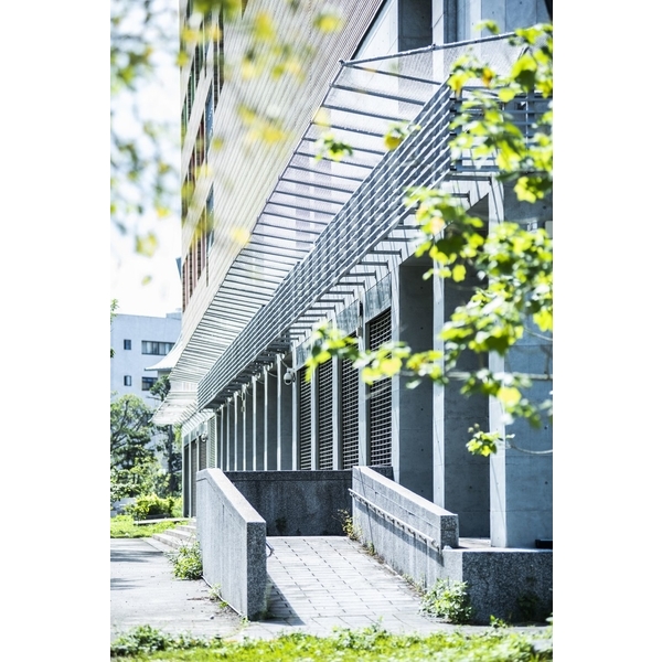 和平實驗國小防-磁磚墜落網-開旭專業圍網有限公司
