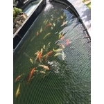 大雅維明-魚池護網