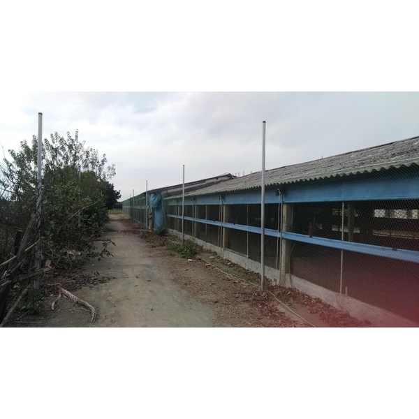 雲林雞舍-防鳥網-開旭專業圍網有限公司