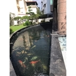 大雅維明-魚池護網