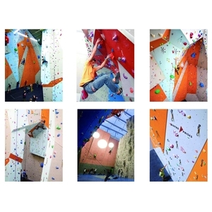 攀岩場-大衛體育工程