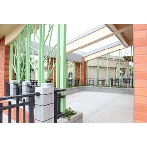 樹枝狀花-尖山國小-好鵬興業有限公司