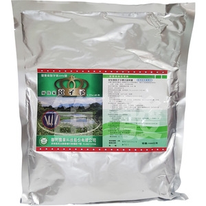 孑孓-笛發有限公司