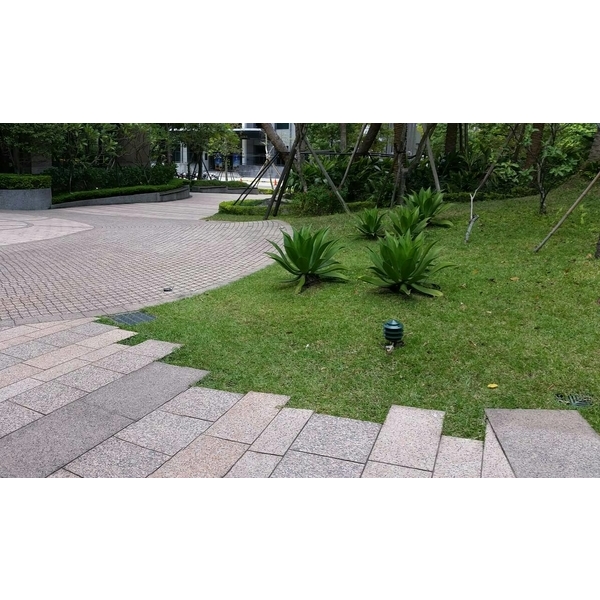 內湖社區庭園照景-奧立科技能源股份有限公司