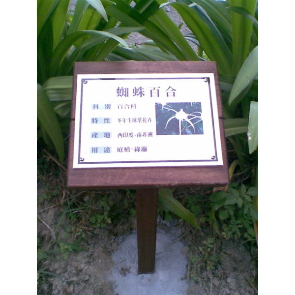 植物解說牌-大衛廣告社