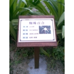 植物解說牌