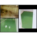 EPOXY工程