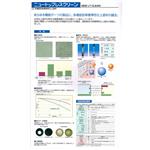 多機能型單層彈性仕上塗材-泰盛塗裝工程有限公司