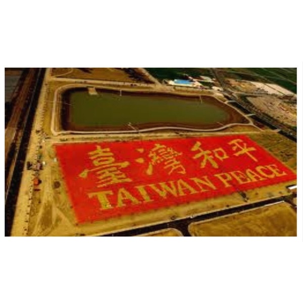 台灣燈會-鑫鑫工程有限公司