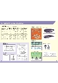 盛揚機械股份有限公司型錄-3