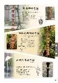 喬盛建材股份有限公司型錄-14
