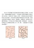 宏祖企業有限公司型錄-5