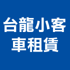 台龍小客車租賃有限公司,機場機場跑道