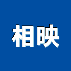 相映有限公司,支票