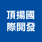 頂揚國際開發有限公司,國際