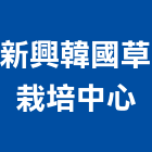 新興韓國草栽培中心,桃園市韓國草韓國草