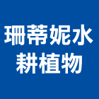 珊蒂妮水耕植物有限公司,桃園盆栽室內盆栽,景觀盆栽,花卉盆栽