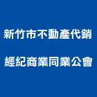 新竹市不動產代銷經紀商業同業公會,同業公會