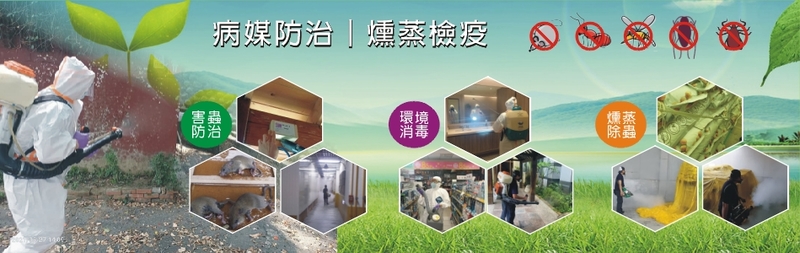 新頂企業有限公司-白蟻防治,貨櫃燻蒸,環境消毒,蟑螂防治,消滅白蟻,螞蟻防治