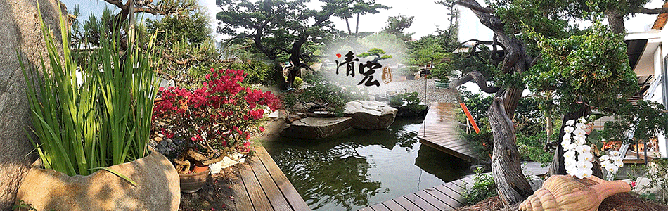 清宏造園-真柏栽培,庭園造景,盆材,庭園樹,半庭園樹,園藝造景,針葉,松柏盆材-p-86-i-18.191.68.220